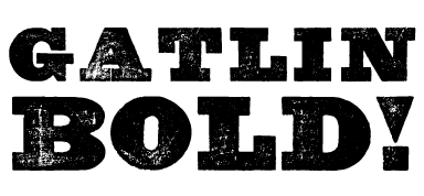 A Wild West style font called Gatlin Bold from the Walden Font Co. It is part of the Wild West Press set of fonts.